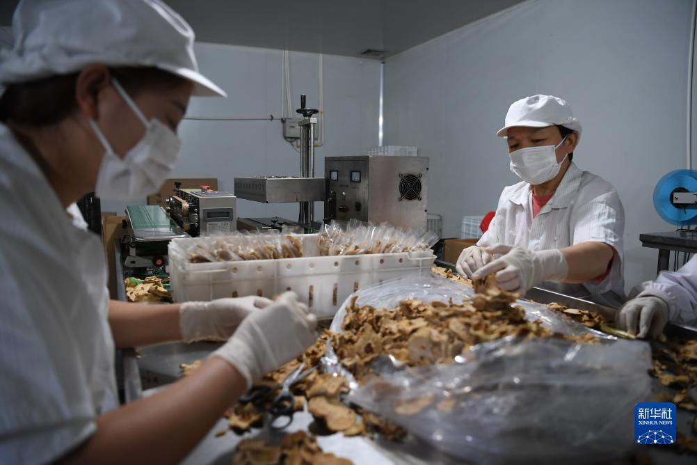 十博官网手机登